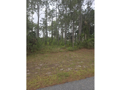 Vacant lot ready for your vision of home. Go and view and send - photo 1