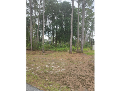 Vacant lot ready for your vision of home. Go and view and send - photo 3