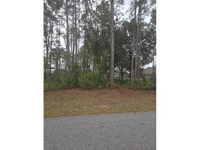 Vacant lot ready for your vision of home. Go and view and send - photo 4