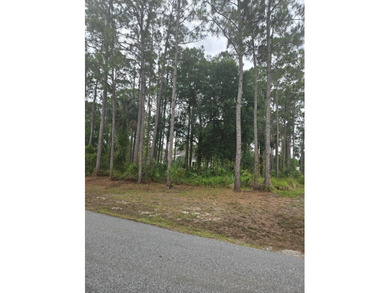 Vacant lot ready for your vision of home. Go and view and send - photo 5