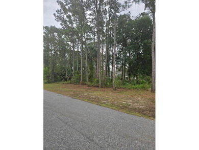 Vacant lot ready for your vision of home. Go and view and send - photo 6