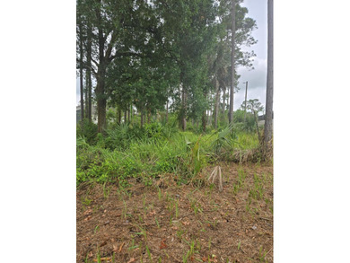 Vacant lot ready for your vision of home. Go and view and send - photo 7