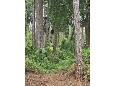 Vacant lot ready for your vision of home. Go and view and send - photo 8