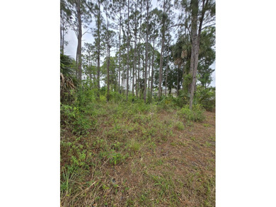 Vacant lot ready for your vision of home. Go and view and send - photo 9