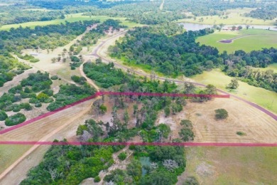 #141 Marquez-+/-5.01 Acres at Horseshoe Lake Ranch - photo 13