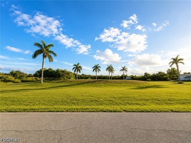 Imagine building your custom dream home on this exceptional 1 - photo 10