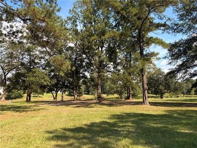 Goodyears Lake Lot For Sale in Abita Springs Louisiana
