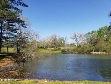 This property is 4.9 acres with a 1-acre pond. Perfect location - photo 3