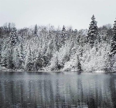 (private lake, pond, creek) Acreage For Sale in Newberry Michigan