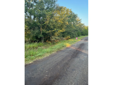 Lake Lot For Sale in Thornton, Texas