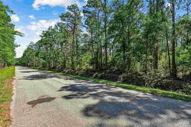 Looking for the perfect setting to build your private estate - photo 22