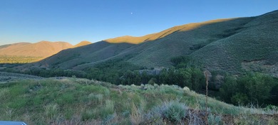 Big Wood River Acreage Sale Pending in Blaine County Idaho