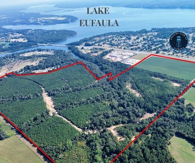 218 acres with road frontage on Hwy 431 & 131 in Eufaula. Zoned - photo 2