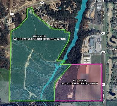 218 acres with road frontage on Hwy 431 & 131 in Eufaula. Zoned - photo 3