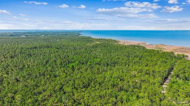 Looking for the perfect setting to build your private estate - photo 34