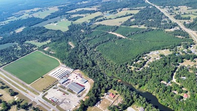218 acres with road frontage on Hwy 431 & 131 in Eufaula. Zoned - photo 7