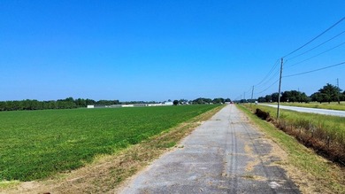 218 acres with road frontage on Hwy 431 & 131 in Eufaula. Zoned - photo 8