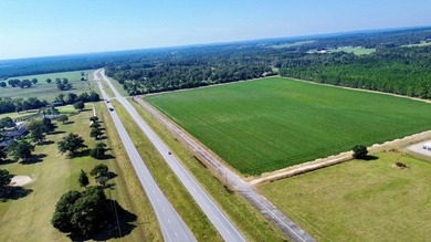 218 acres with road frontage on Hwy 431 & 131 in Eufaula. Zoned - photo 9