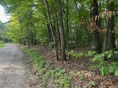 Lake Lot For Sale in Gaylord, Michigan