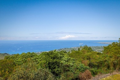Welcome to the desirable Estates at Holualoa, a secluded gated - photo 5