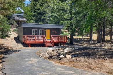 650 Dahlia - photo 4