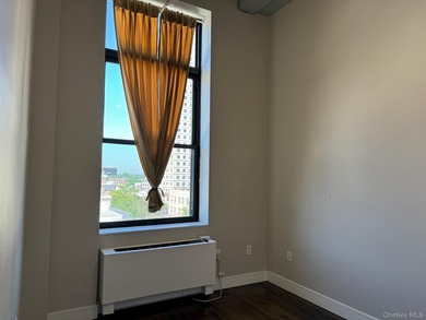 INVESTOR-FRIENDLY UNIT - TENANT IN PLACE UNTIL JULY 2027 ($2 - photo 9