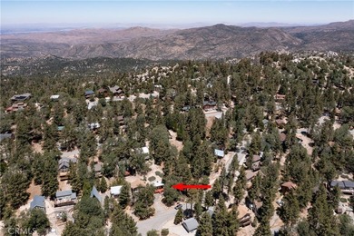 650 Dahlia - photo 9