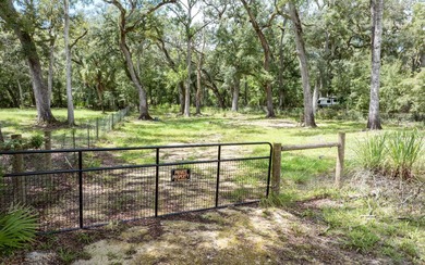 Suwannee River Lot For Sale in Branford Florida