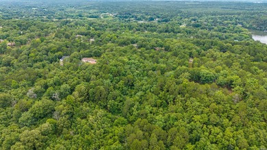 Wooded 5.39+/- acres ready for your dream home in a quiet - photo 17