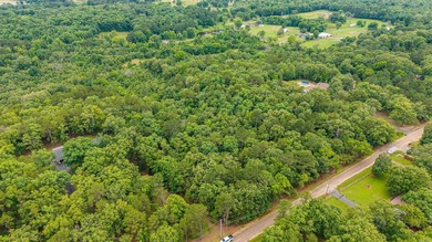 Wooded 5.39+/- acres ready for your dream home in a quiet - photo 19
