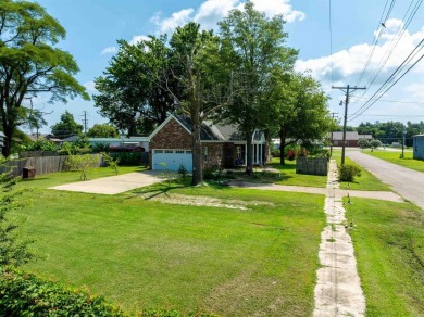 Beautiful Custom Brick 3BR/2BA Home - Built 2020 - Manila, AR