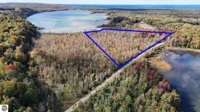 Long Lake - Benzie County Acreage For Sale in Honor Michigan