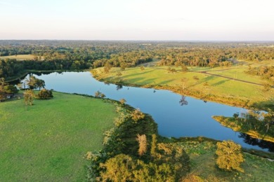 #141 Marquez-+/-5.01 Acres at Horseshoe Lake Ranch - photo 14