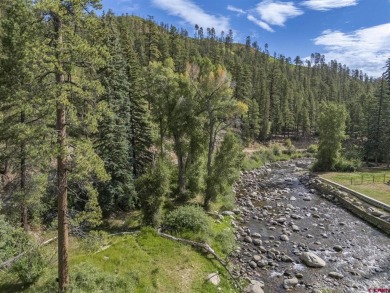 Lake Lot For Sale in Bayfield, Colorado