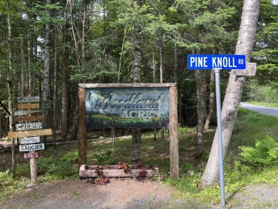 Lake Lot For Sale in Bowerbank, Maine