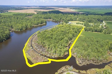 Bay River Acreage For Sale in Vandemere North Carolina