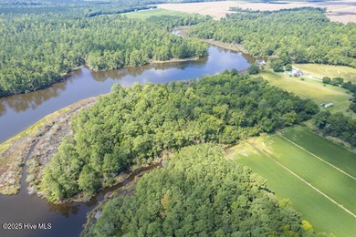 Perfectly situated 11.4 acre wooded waterfront peninsula on - photo 10