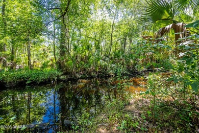 Opportunity knocking! Come enjoy the scenic nature from this - photo 3