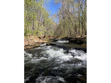 This 1.09 acre lot in Bent Tree in Jasper, Georgia is close to - photo 27