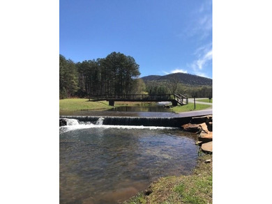 This 1.09 acre lot in Bent Tree in Jasper, Georgia is close to - photo 28