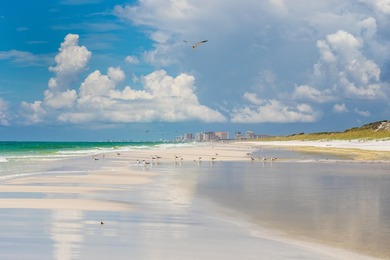 Discover your slice of paradise at 247 N Bishop Rd, a - photo 29