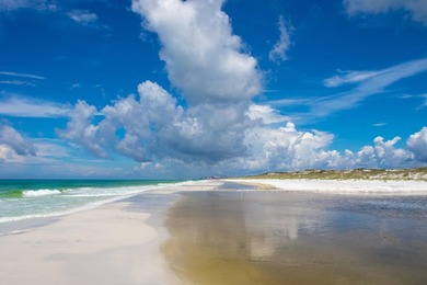 Discover your slice of paradise at 247 N Bishop Rd, a - photo 30