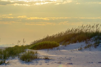 Discover your slice of paradise at 247 N Bishop Rd, a - photo 31