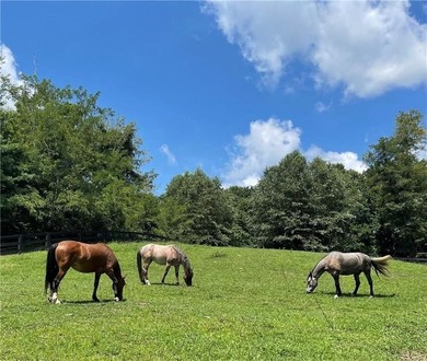 This 1.09 acre lot in Bent Tree in Jasper, Georgia is close to - photo 32