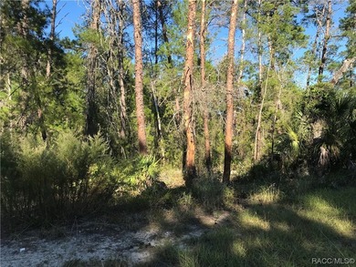 Premium home site and pristine location in Oak Village South at - photo 2