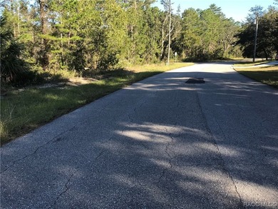 Premium home site and pristine location in Oak Village South at - photo 3