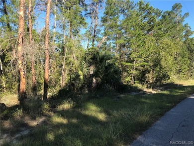 Premium home site and pristine location in Oak Village South at - photo 4