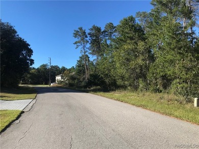 Premium home site and pristine location in Oak Village South at - photo 5