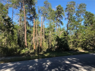 Premium home site and pristine location in Oak Village South at - photo 6