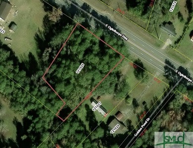 Check out this remarkable piece of land in Midway GA. A perfect - photo 1